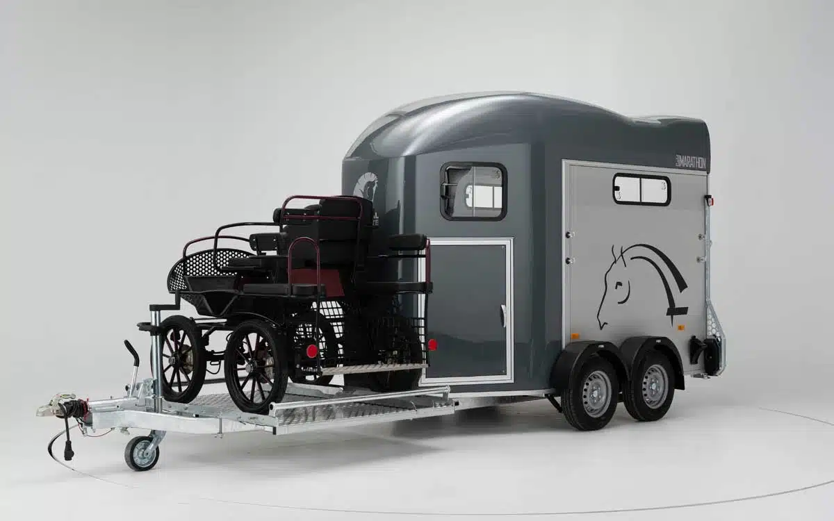 Gold Marathon – Carriage Two Horse Trailer - Image 2